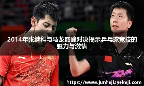 2014年张继科与马龙巅峰对决揭示乒乓球竞技的魅力与激情